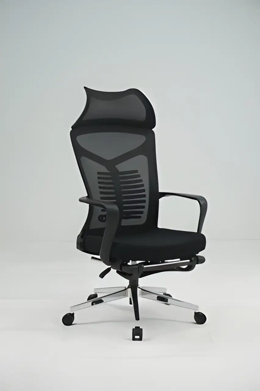 ERGO PRO